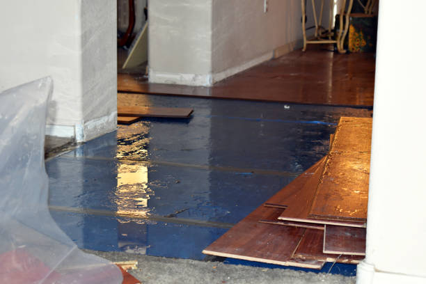 Professional Burst Pipe Cleanup technician working in Bensenville, IL
